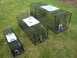 rabbit trap